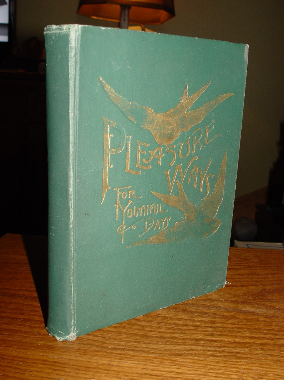 Pleasure Ways for Youthful Days 1890 by Grace
                Townsend