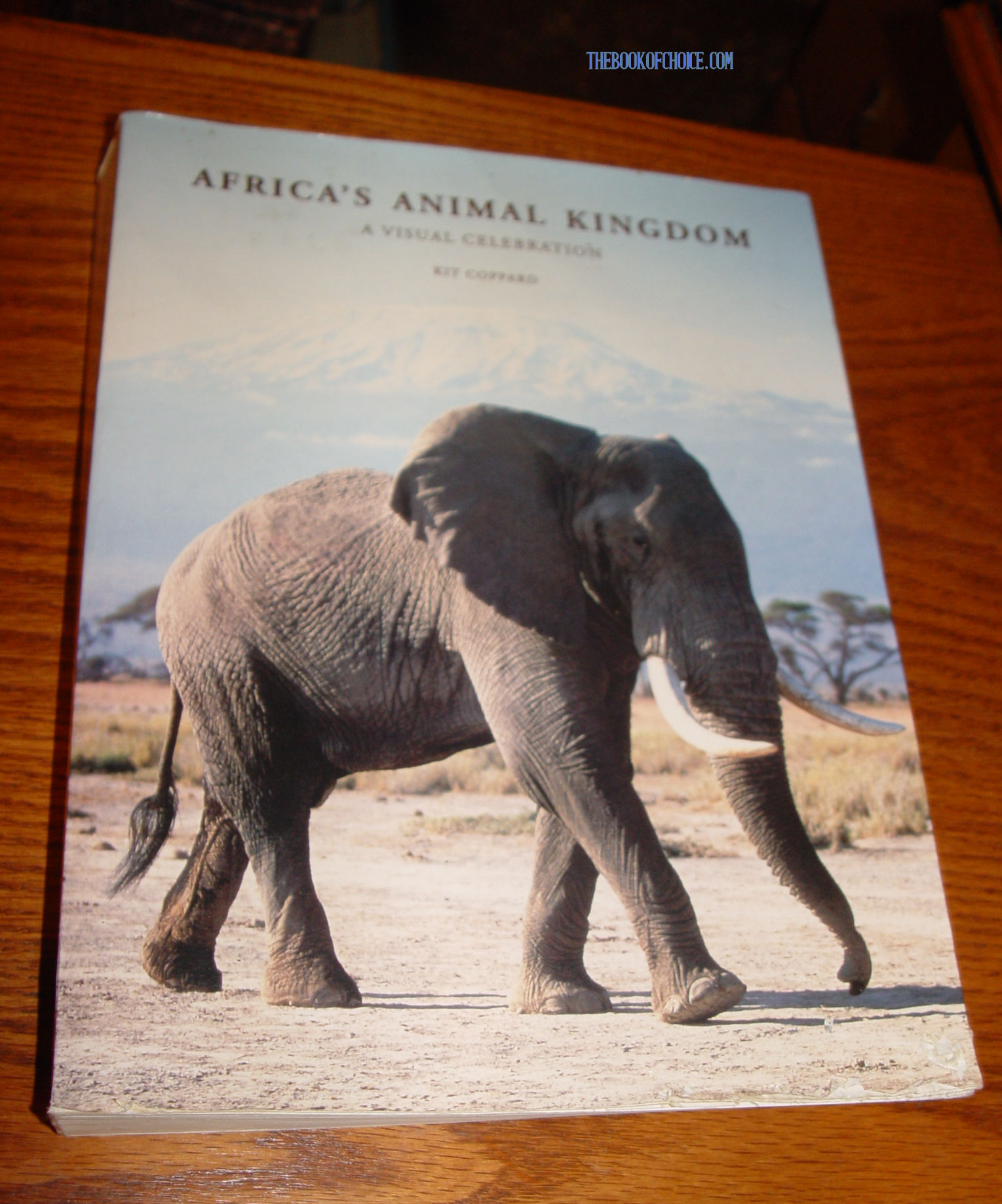 Africa's Animal Kingdom: A Visual
                        Celebration 2001 by Kit Coppard