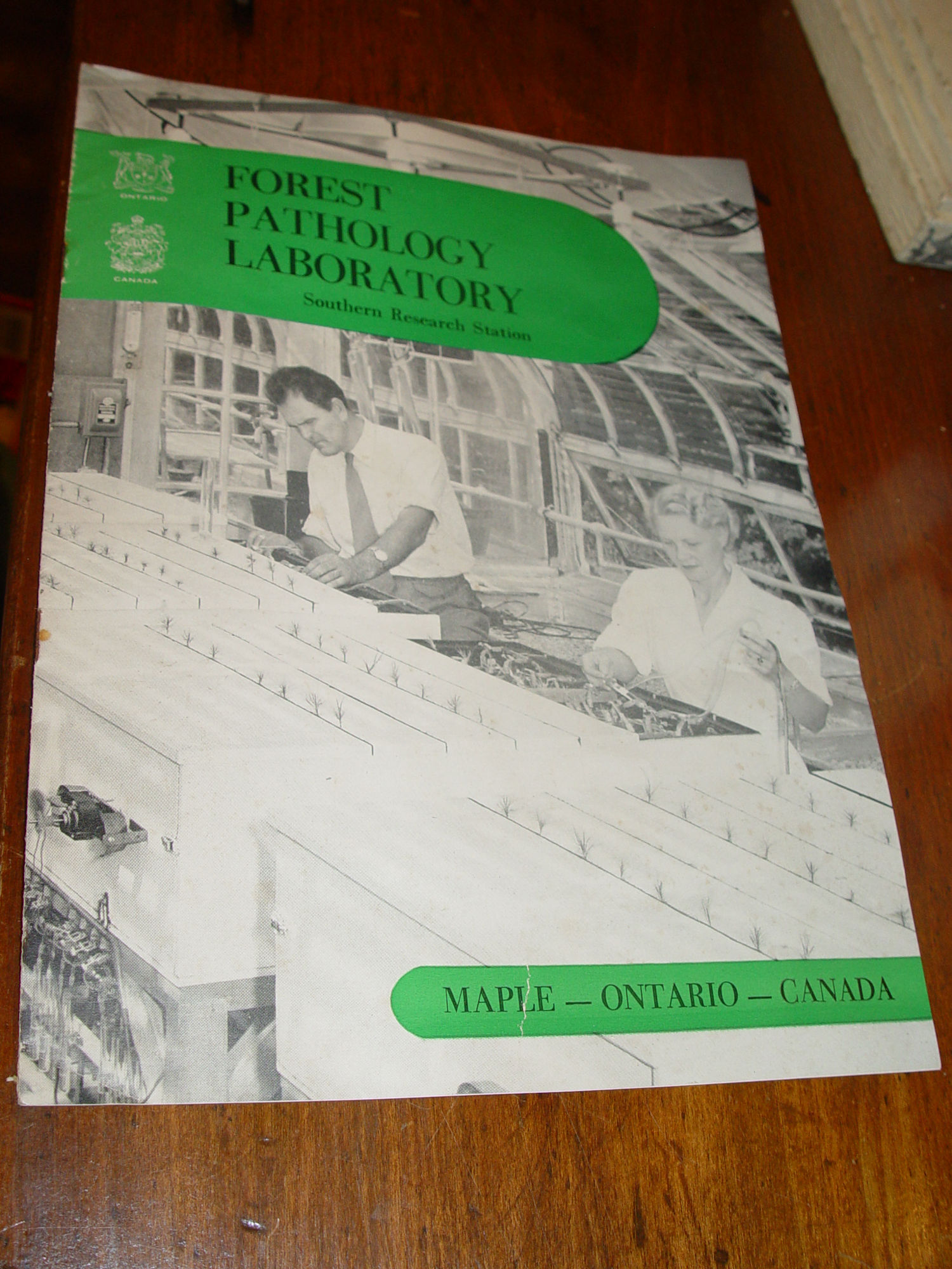 1954 Forest Pathology Laboratory
                        Maple-Ontario (Canada Lumberman)