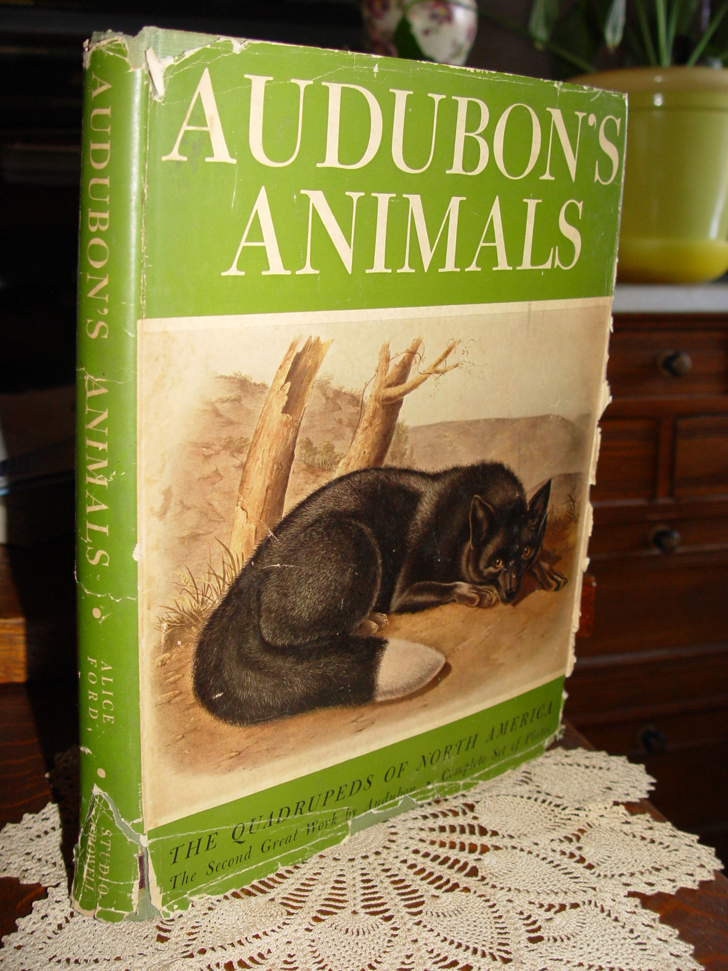 1951 Audubon's Animals: the Quadrupeds of
                        North America, Alice Ford