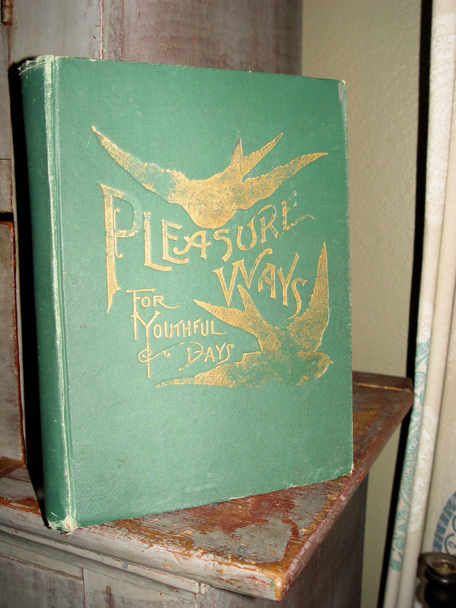 Pleasure Ways for Youthful Days 1890; A Collection
                of Charming Recitations by Grace Townsend