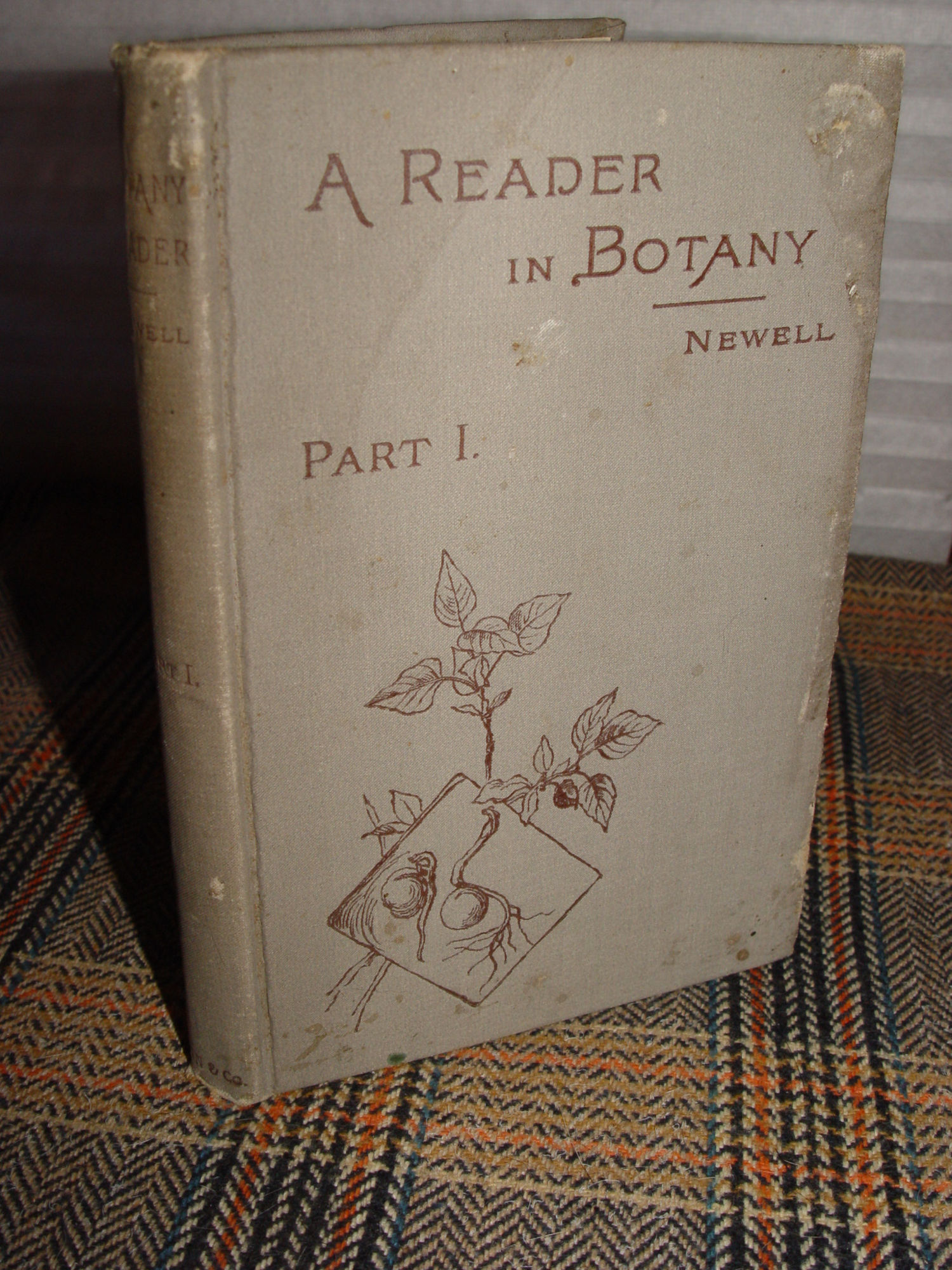 A Reader in Botany - Part I: From Seed to
                        Leaf 1894 by Jane H. Newell