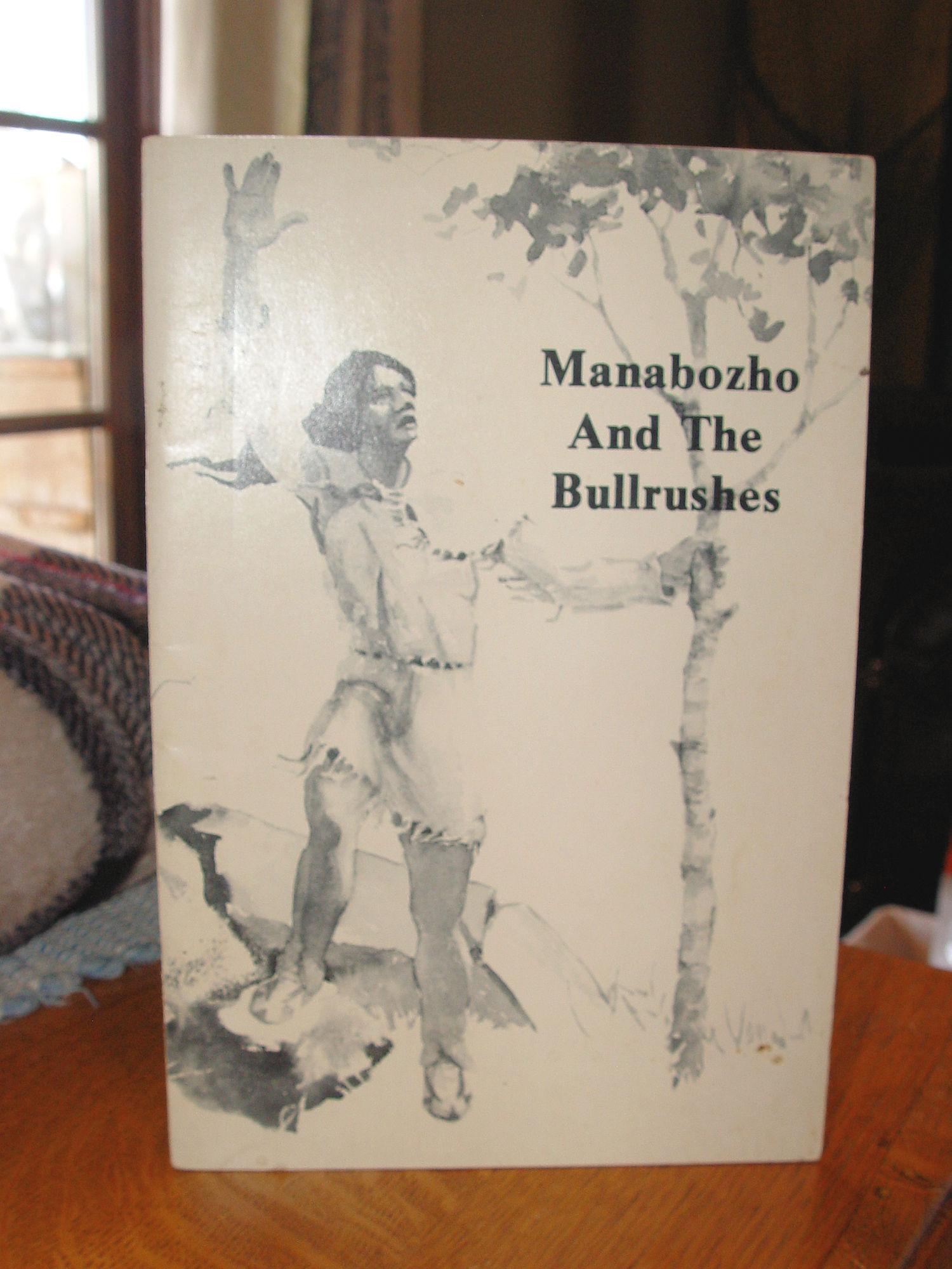 Manabozho And The Bullrushes David
                        Martinson Native American Story Book