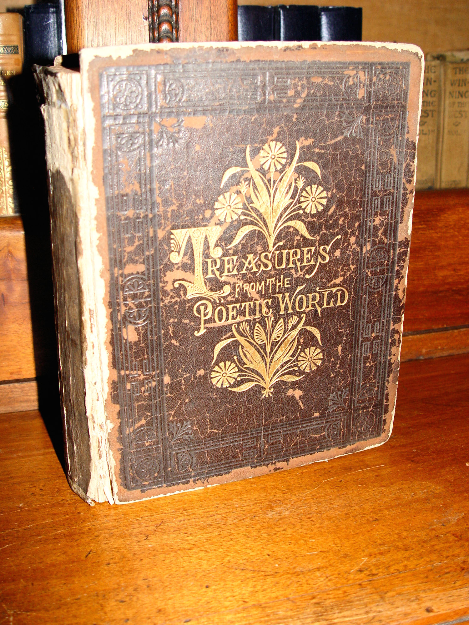Treasures from the Poetic World with
                        Biographical Sketches 1884 Prof Frank McAlpine