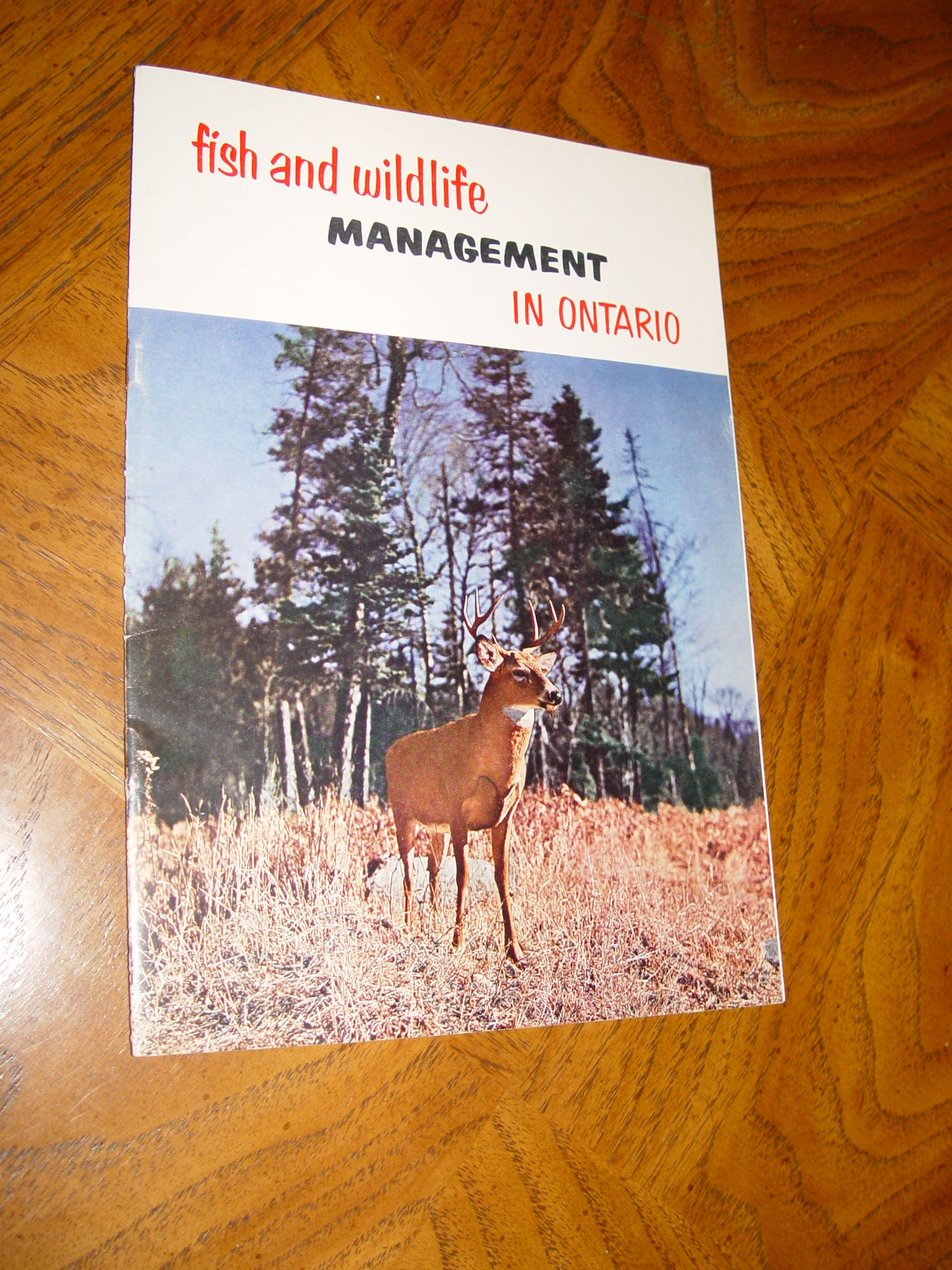 Ontario Timber Management; Department of
                        Forestry 1951 Booklet