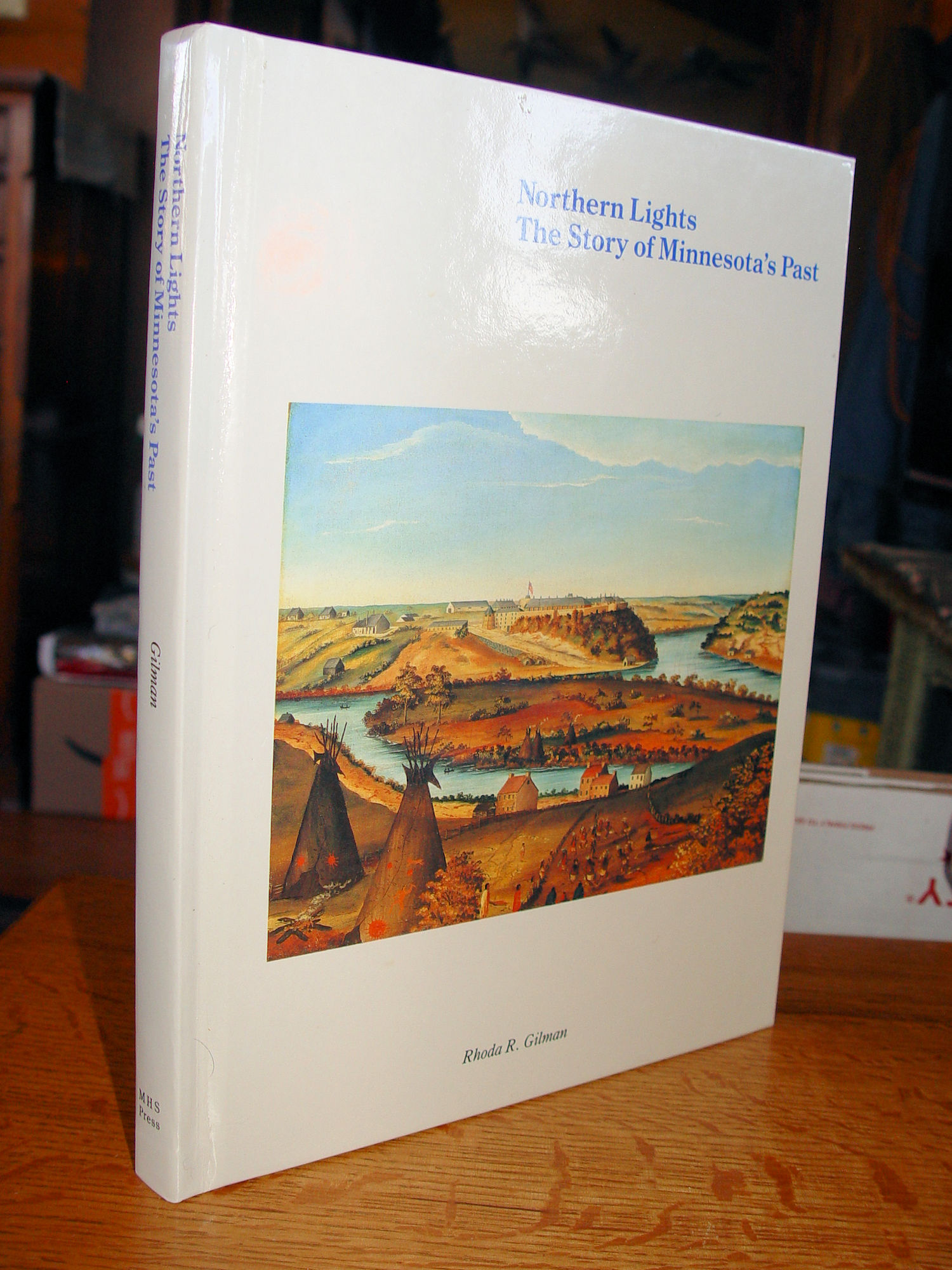 Northern Lights - The Story of Minnesota's
                        Past Rhoda R. Gilman
