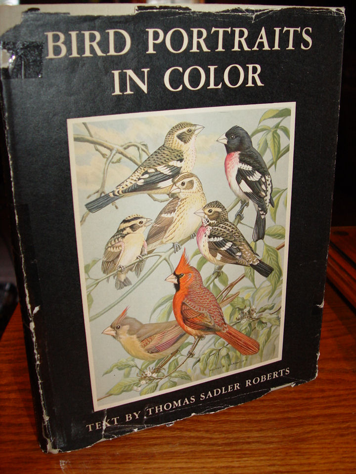 Bird Portraits In Color 295 North American
                        Species 1968 By Thomas S. Roberts