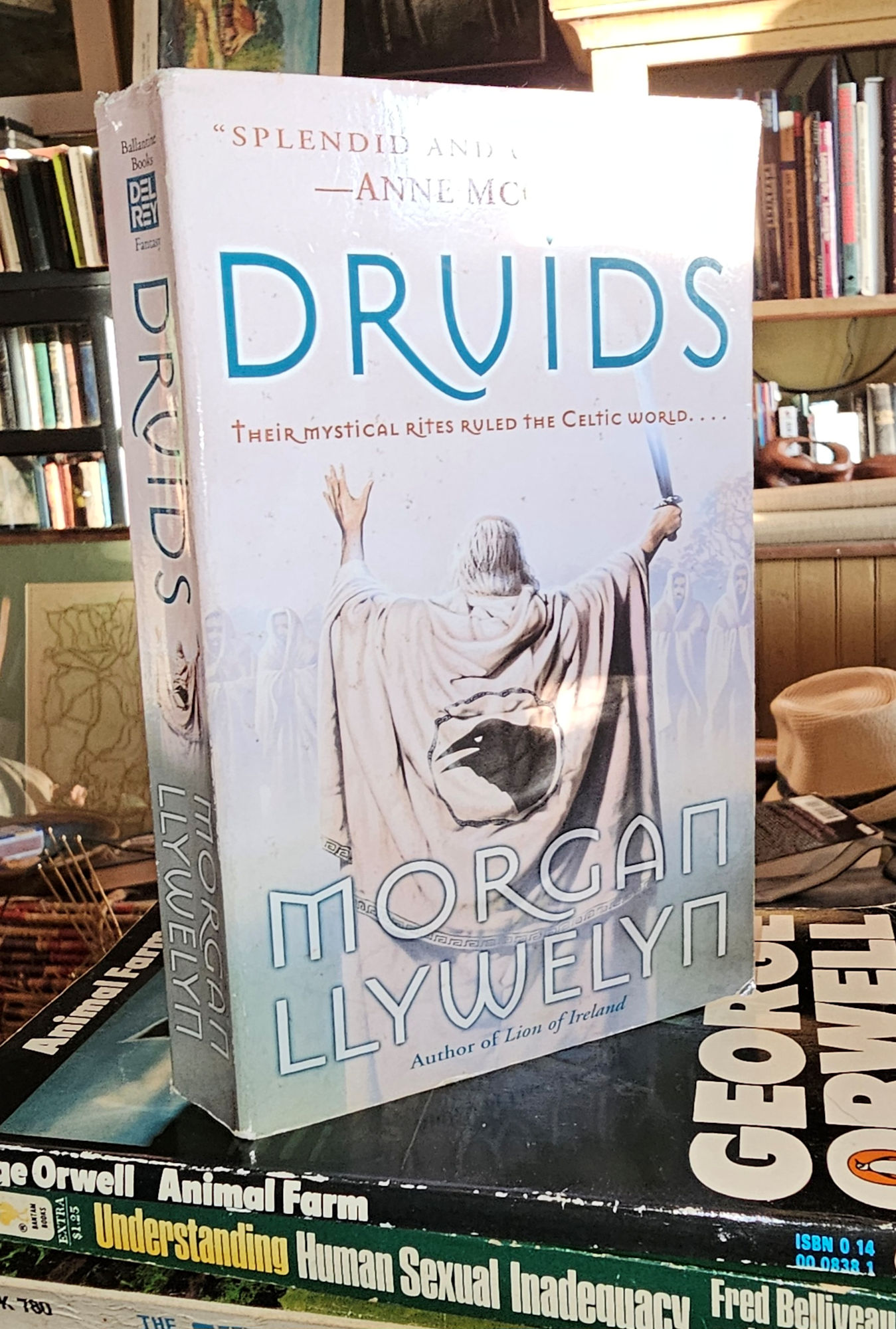 Druids; Their Mystical Rites Ruled The
                        Celtic World. Morgan Llywelyn 1993