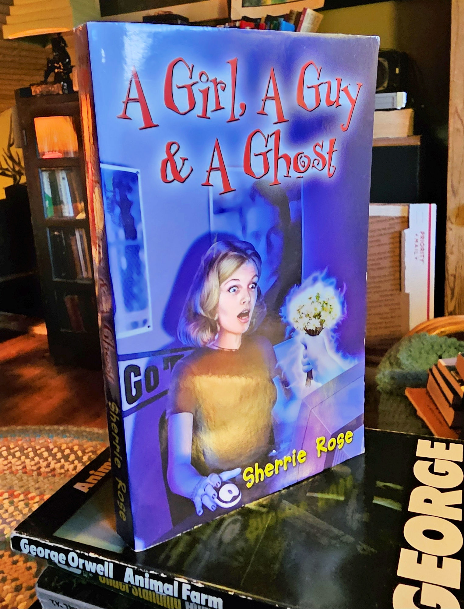 A Girl, A Guy & A Ghost by Sherrie Rose
                        - Dorchester 2003