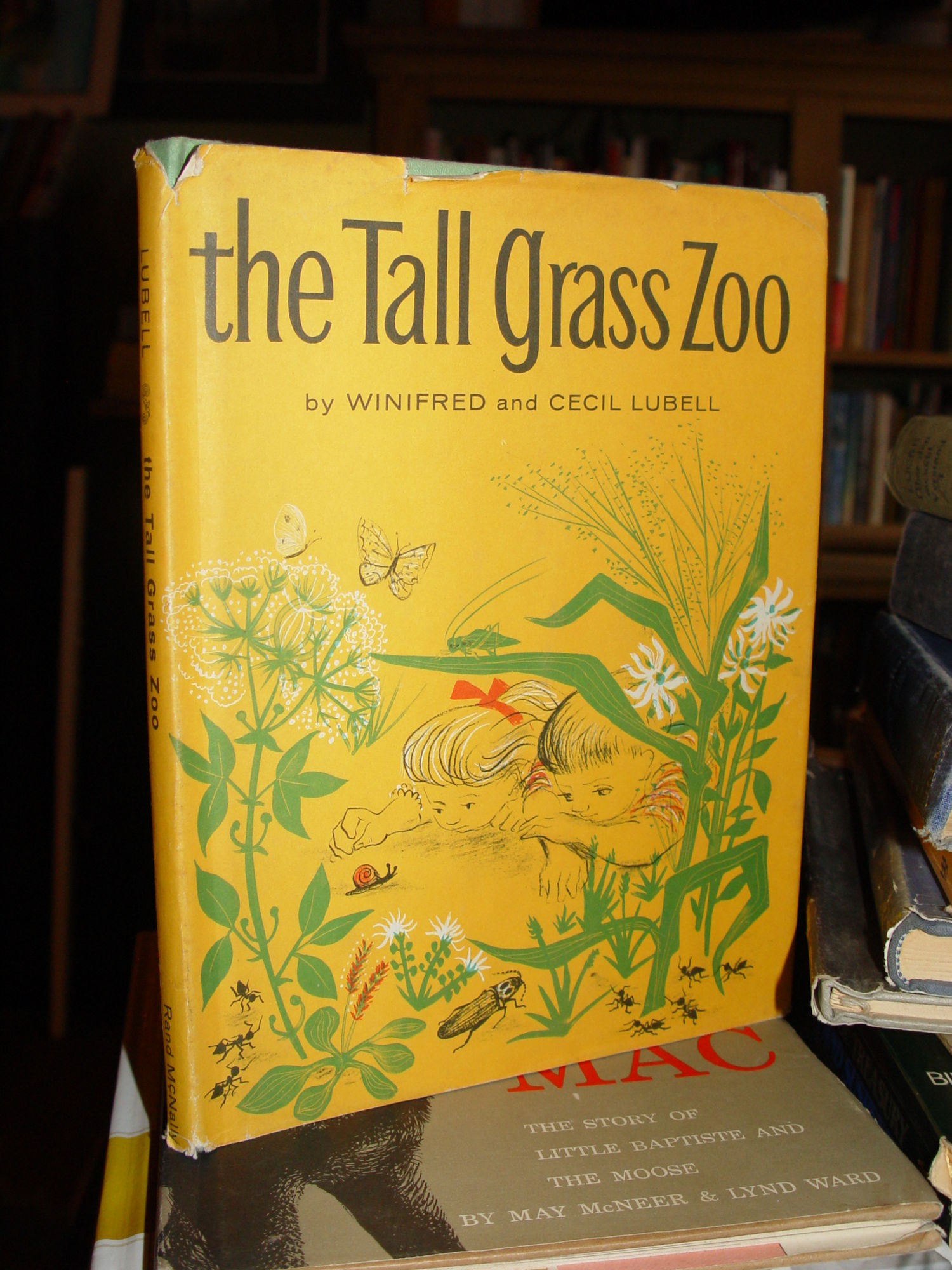 The
                Tall Grass Zoo, Winifred and Cecil Lubell, 1961